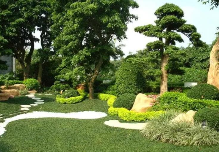 園林景觀設(shè)計之植物墻設(shè)計在哪些地方適合？